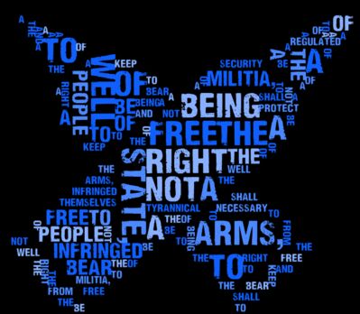 The Second Amendment: Guns