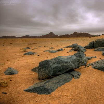 ديرتي يانبض شاعر - غازي الحماد