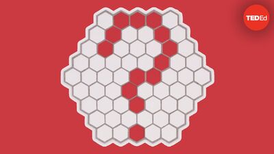 Can you solve the honeybee riddle? | Dan Finkel