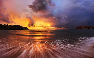 田看收成 人重晚晴