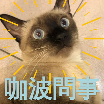 【咖波問事】同事薪水比你高但很會摸魚怎辦 / 帶小孩出國好害怕 / 重來一次還會選這間非營利幼稚園嗎 ｜EP 211