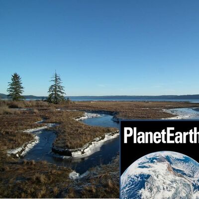 Man-made salt marshes, ground heat, storms - Planet Earth Podcast - 12.10.19