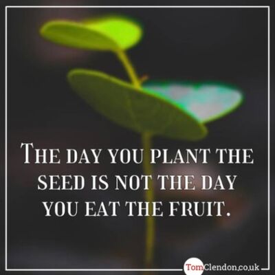 Which Strategic Professional options to choose? 