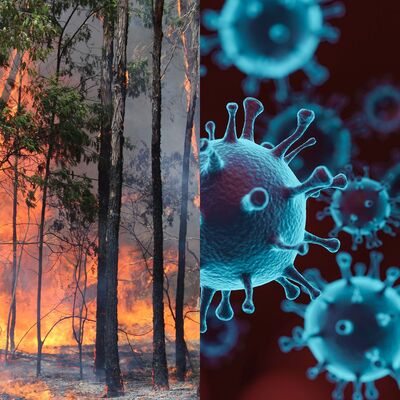 Resilience and recovery: bushfires and COVID-19