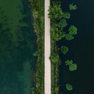 THE SUPREME COURT with Noah Rosenblum