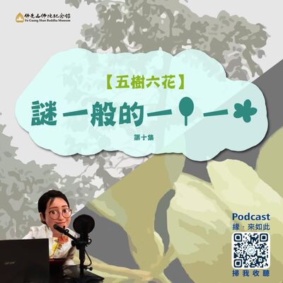 謎一般的一樹一花