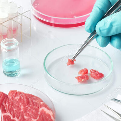 #133. Alimentación 2.0. ¿Cómo Será la Comida del Futuro?