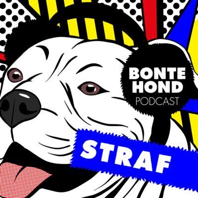 2.10 De Pitbull Podcast van BonteHond - Straf