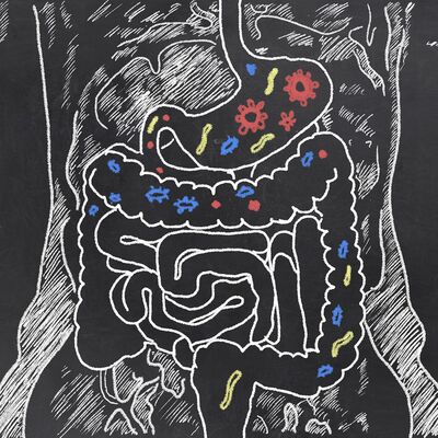 Vi presento il microbiota!