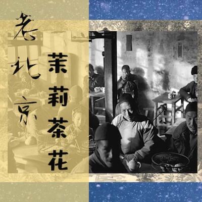 老北京茉莉花茶-茉莉花茶仙子