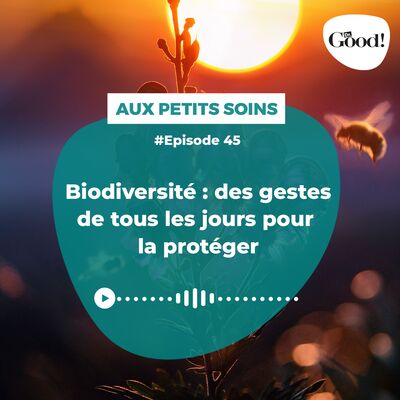 Biodiversité : des gestes de tous les jours pour la protéger