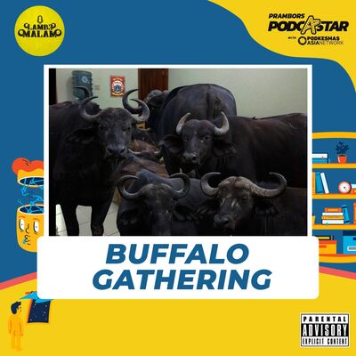 Kumpul Buffalo - Prambors Podcastar