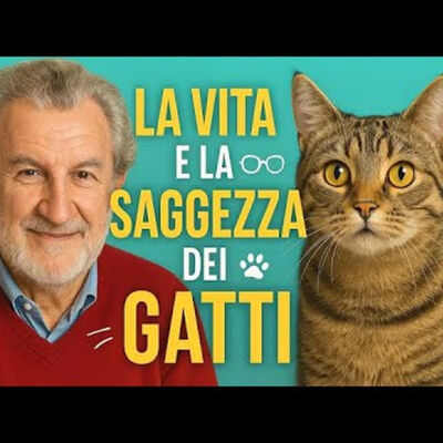 Odifreddi: la vita e la saggezza dei gatti