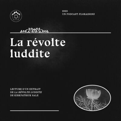 La révolte luddite