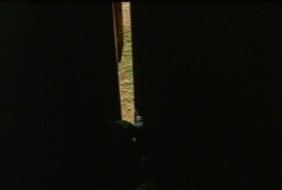 Hundreds Of Dead Bodies #19 - No Telling