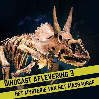 Het Mysterie van het Massagraf