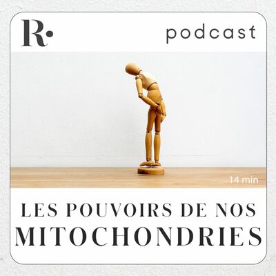 Les pouvoirs de nos mitochondries