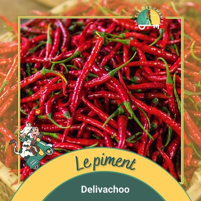 [Delivachoo] - Tout savoir sur le piment en 5 min