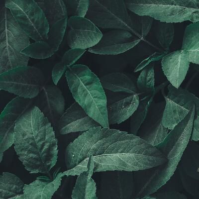 刘旸教主个人单口喜剧专场：庄谐不二 第1集