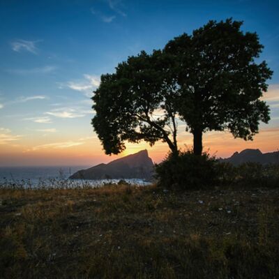 ROUSSEAU with Eoin Daly