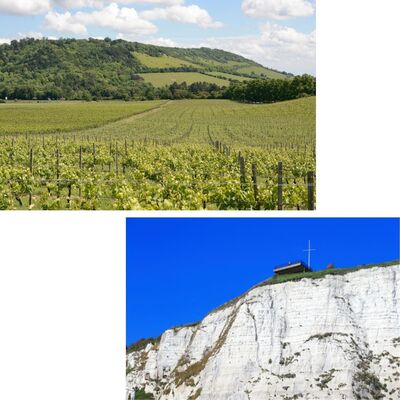 Interview with Henry Jeffreys: England