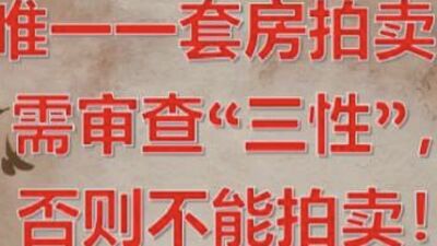 唯一一套房拍卖需审查“三性”，否则不能拍卖！