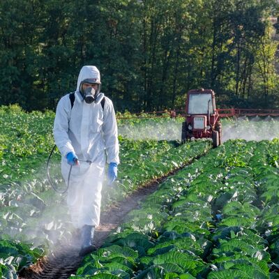 Silent Spring (3/3): What are the prospects for pesticide policy?