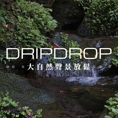 EP11 | 每當走進森林深處一定會遇上特別的聲音。