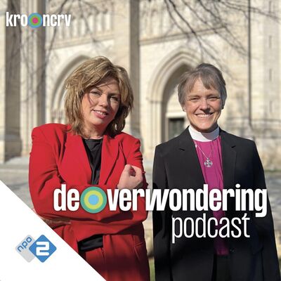 Bisschop Budde over moed