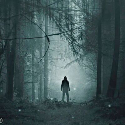 #139 Los Bosques más Aterradores y Perturbadores del mundo - Miedo al Misterio