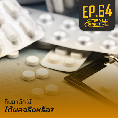 Science Facts EP.64 กินยาดักไข้อันตรายหรือไม่