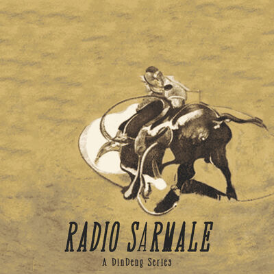 Radio Sarmale - Dinu Part 1 - The Roaring 30s - (Criterion cut)