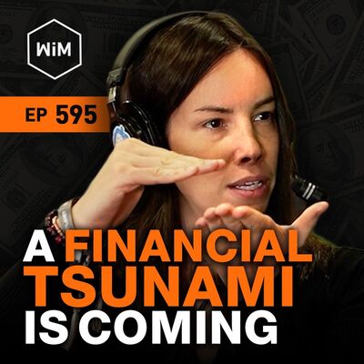 Bitcoin Has No Brakes w/ Lyn Alden (WiM595)