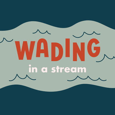 Wading in a Stream