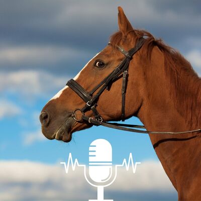 Emotional level basics