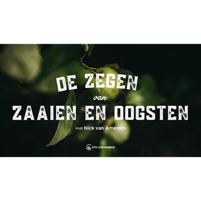 De zegen van zaaien en oogsten | Nick van Amerom | 22-06-2025