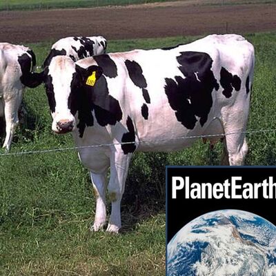 Early African dairy farming, seabird migrations - Planet Earth Podcast - 12.07.31