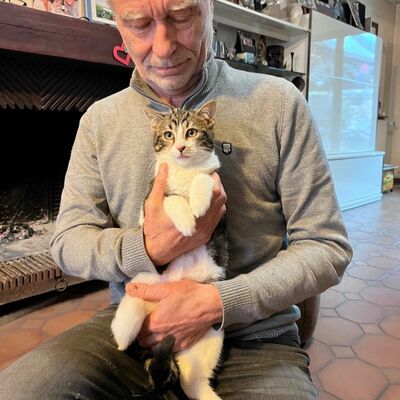 Épisode 33 - La petite chatte à trois pattes