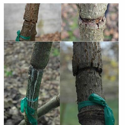 Snapshot - February 2018