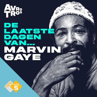 #6 - Marvin Gaye | Mercy Mercy Me (S03)