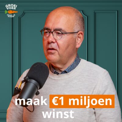 #339 - De weg naar €1 miljoen winst: groeiveteraan Dennis Kuipers deelt zijn stappenplan