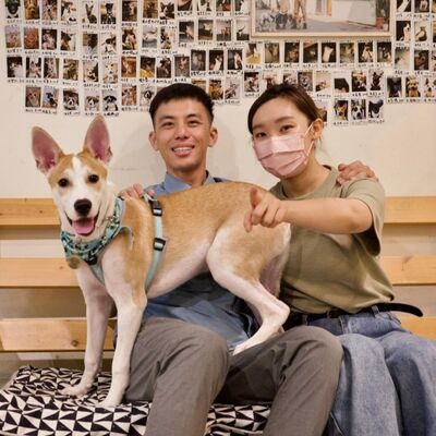 Ep84《浪浪別哭X啵吉》和「有點怕狗」的家人一起養狗究竟是福還是禍？