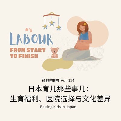 Vol. 114 日本育儿那些事儿：生育福利、医院选择与文化差异