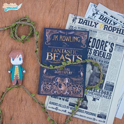 Bookish Reading #50 - Fantastic Beasts And Where To Find Them (Original Screenplay)
