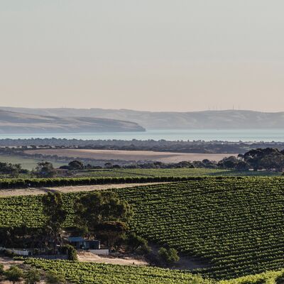 Sam Temme from Wirra Wirra talks focused Export Strategies
