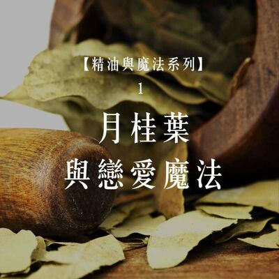 Ep.81【精油與魔法 2】月桂葉與戀愛魔法：從阿波羅的神話說起