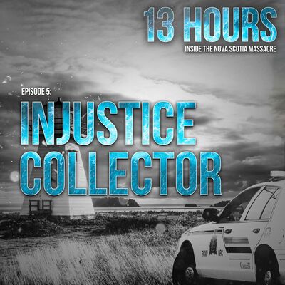 Injustice Collector | 5