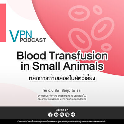VPN Podcast EP.56 - หลักการถ่ายเลือดในสัตว์เลี้ยง