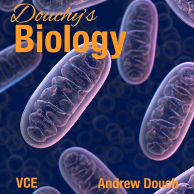 Episode 7: Cellular respiration