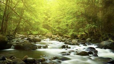 起床清醒-自由當下的冥想A-a 